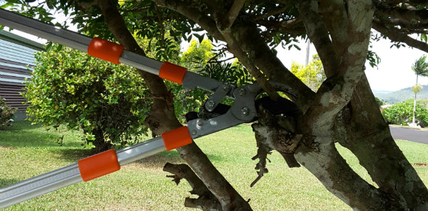 Hoselink Lightweight Loppers being used to prune a tree